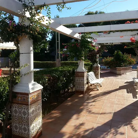 Bertur San Antonio Mar